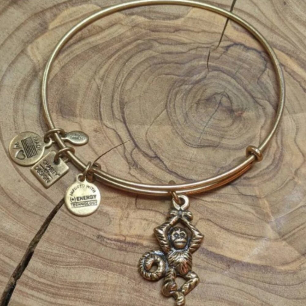 Alex and Ani Monkey Charm Adjustable Bangle Bracelet